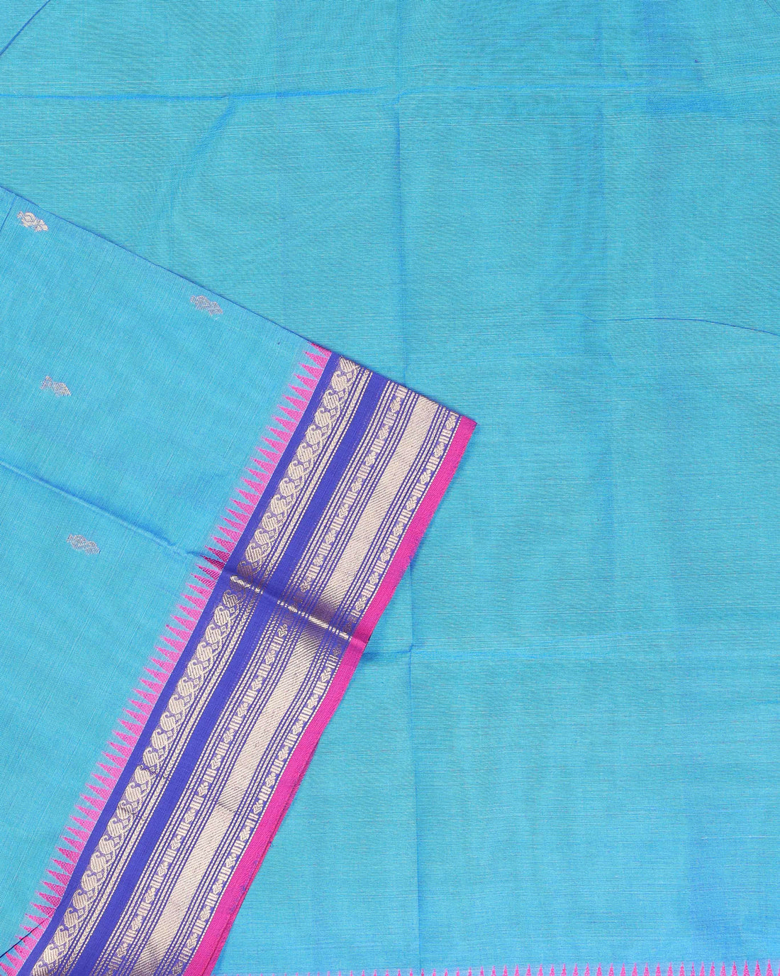 Handloom Cotton Saree with Contrast Border - Blue