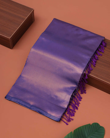 Classic Solid Litchi Silk Saree with Subtle Sheen - Purple