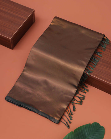 Classic Solid Litchi Silk Saree with Subtle Sheen - Green