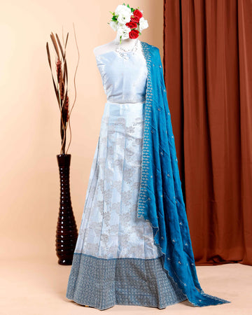 Embroidered Semi-Stitched Lehenga with Intricate Border Design - Blue