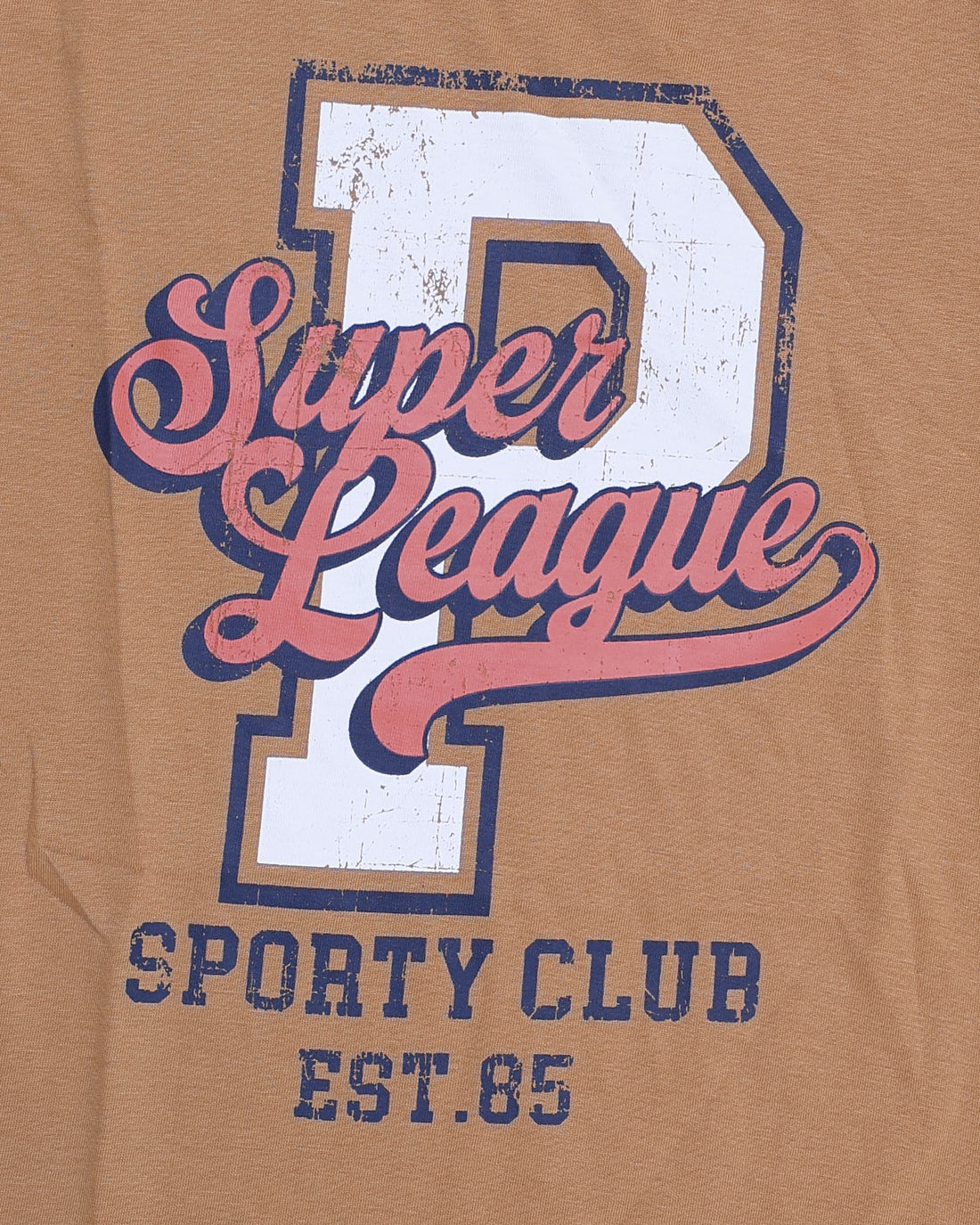 Boys Casual Stylish Printed T- Shirt - Brown