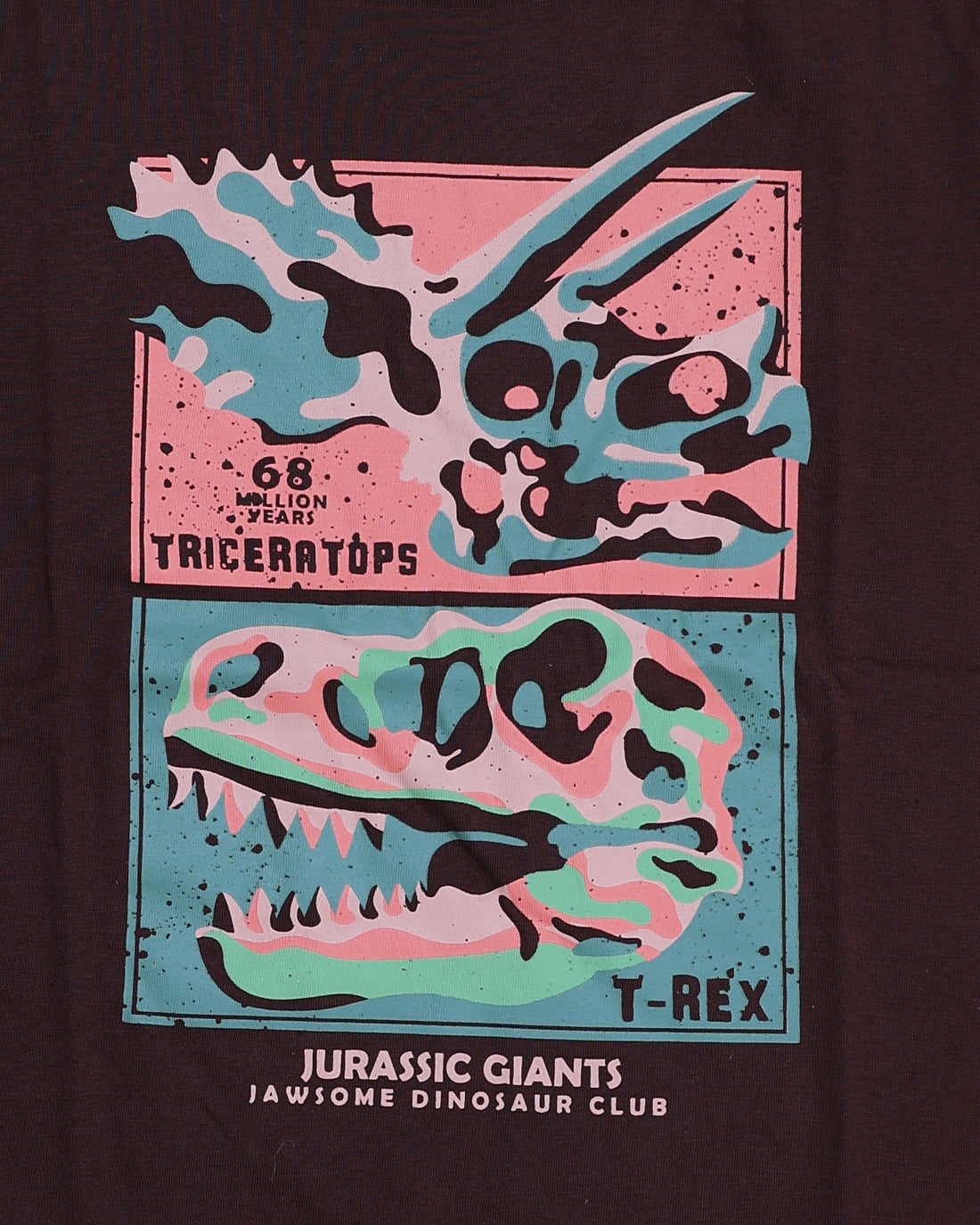 Boys Casual Stylish Printed T- Shirt - Dark Brown