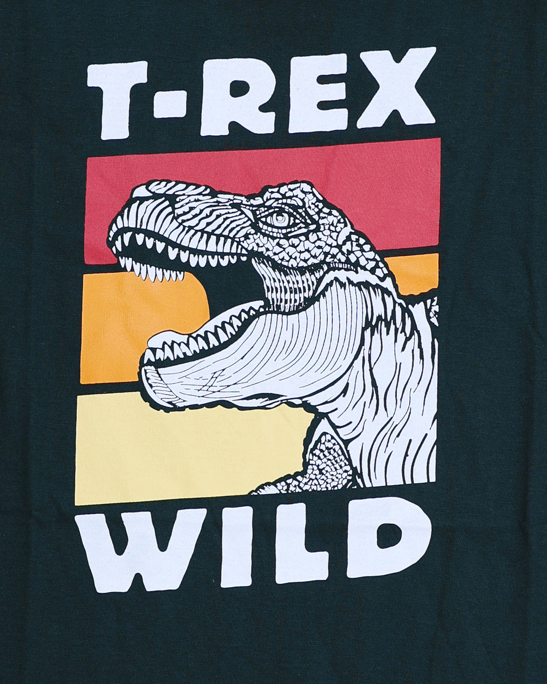 Boys Casual Stylish Printed T- Shirt - Dark Green-Front