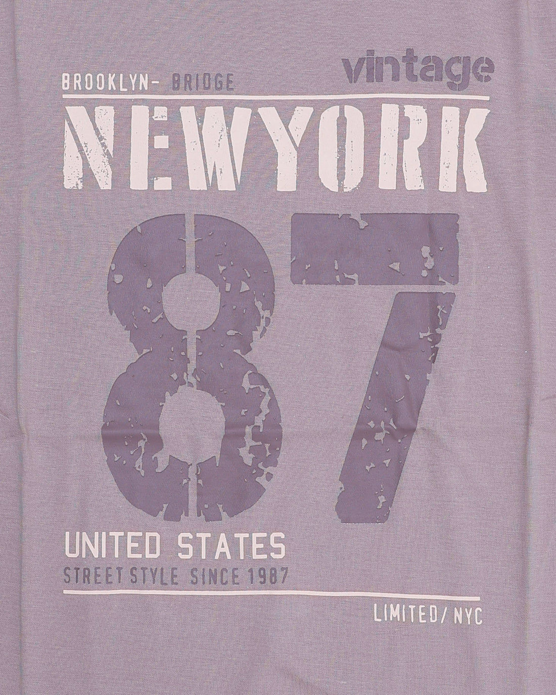 Boys Casual Stylish Printed T- Shirt - Light Purple