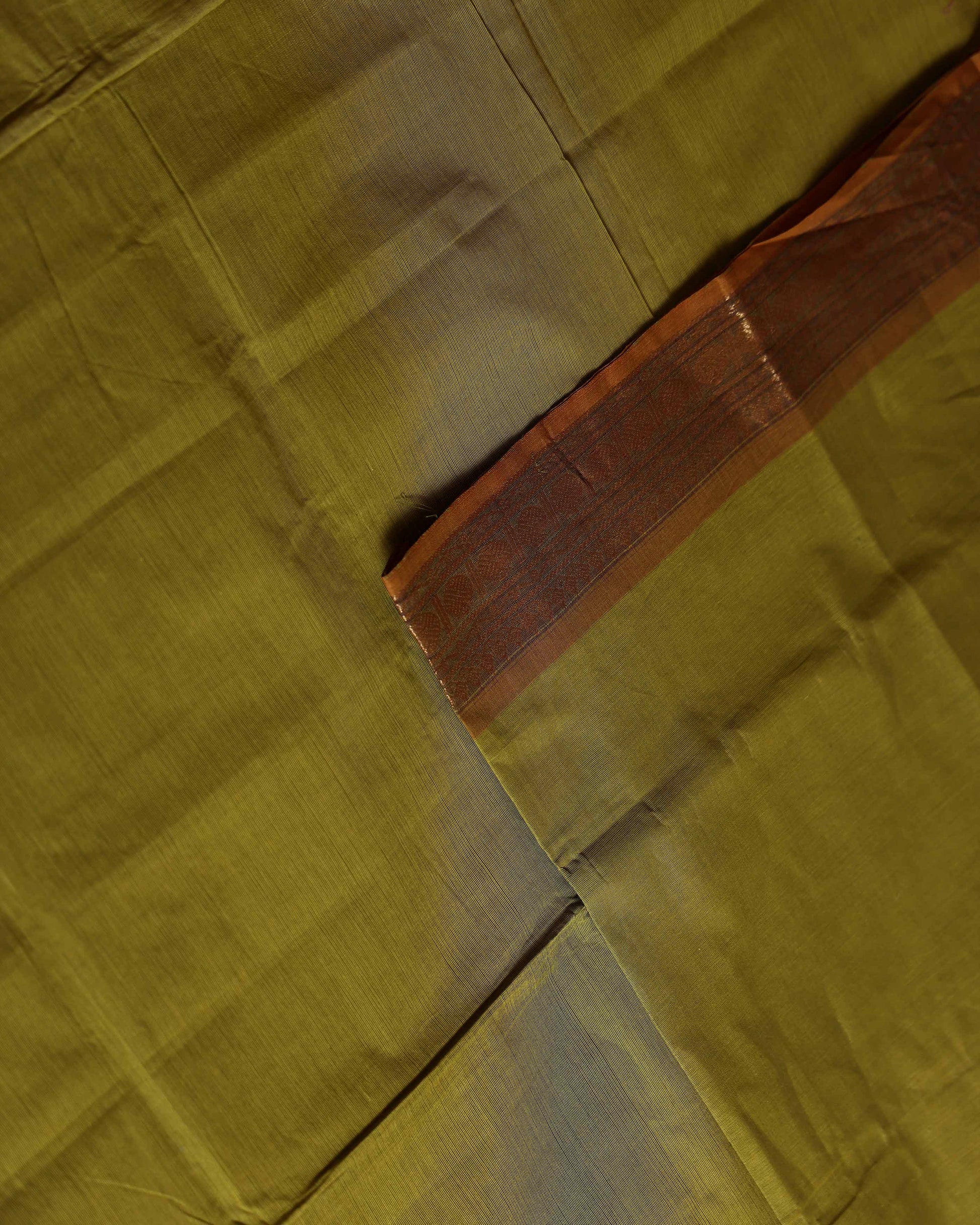 Handloom Venkatagiri Cotton Saree with Traditional Zari Woven Border - Green