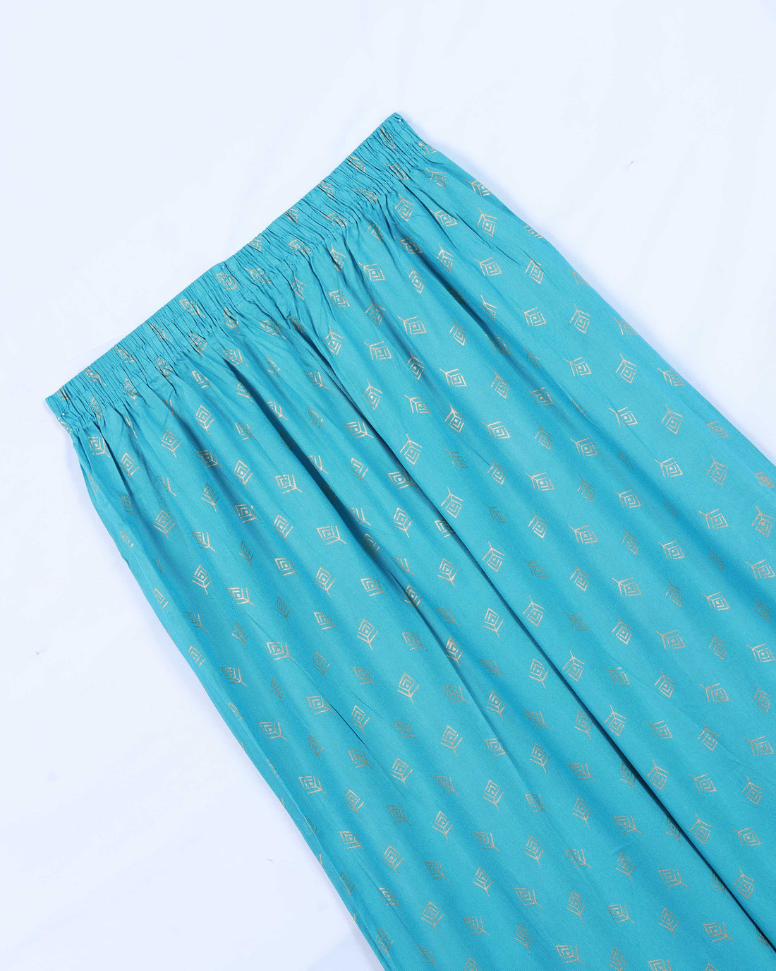 Sky Blue Printed Womens Palazzo