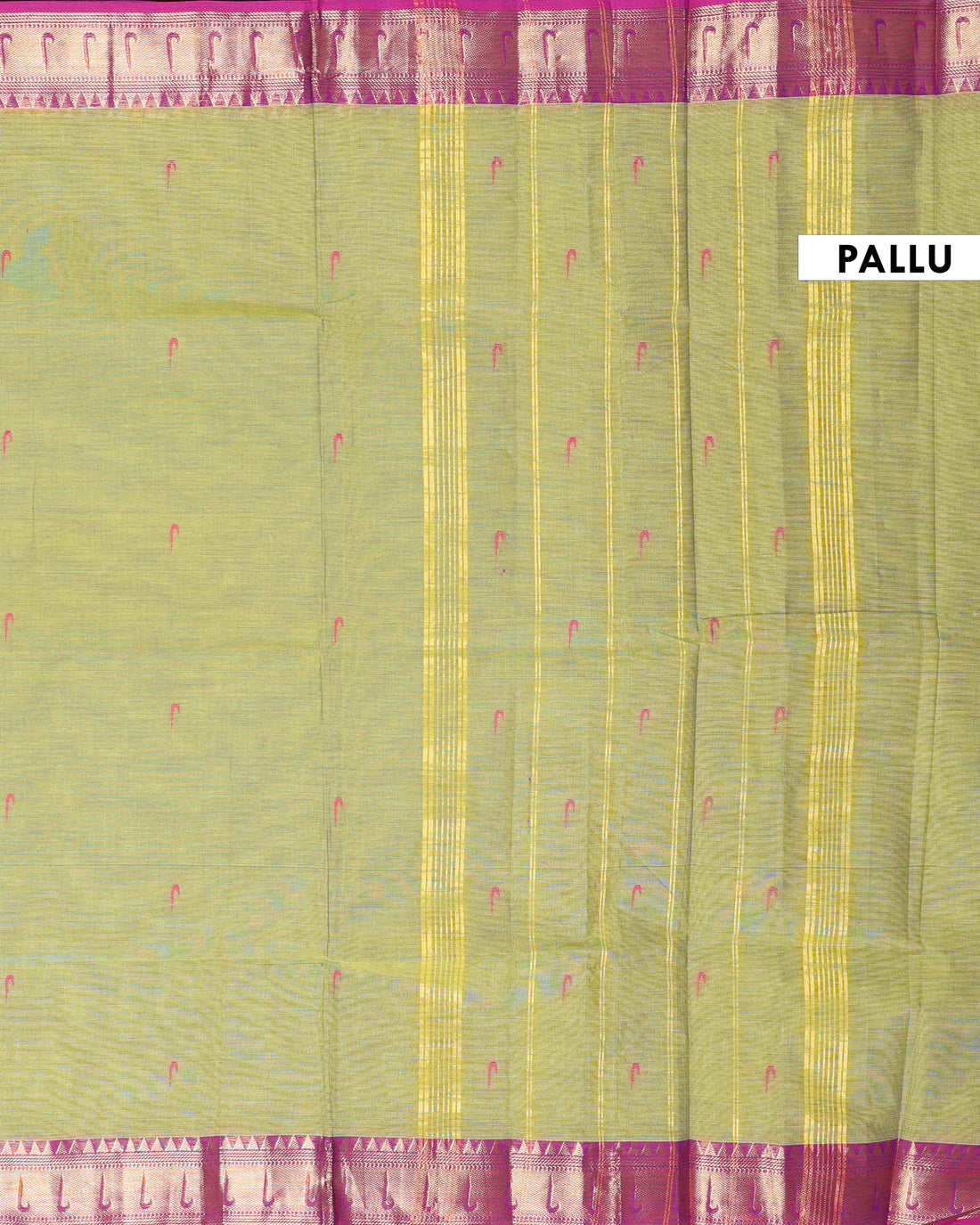 Elegant Handloom Chettinad Cotton Saree with Traditional Contrast Border and Subtle Motifs - Olive Green