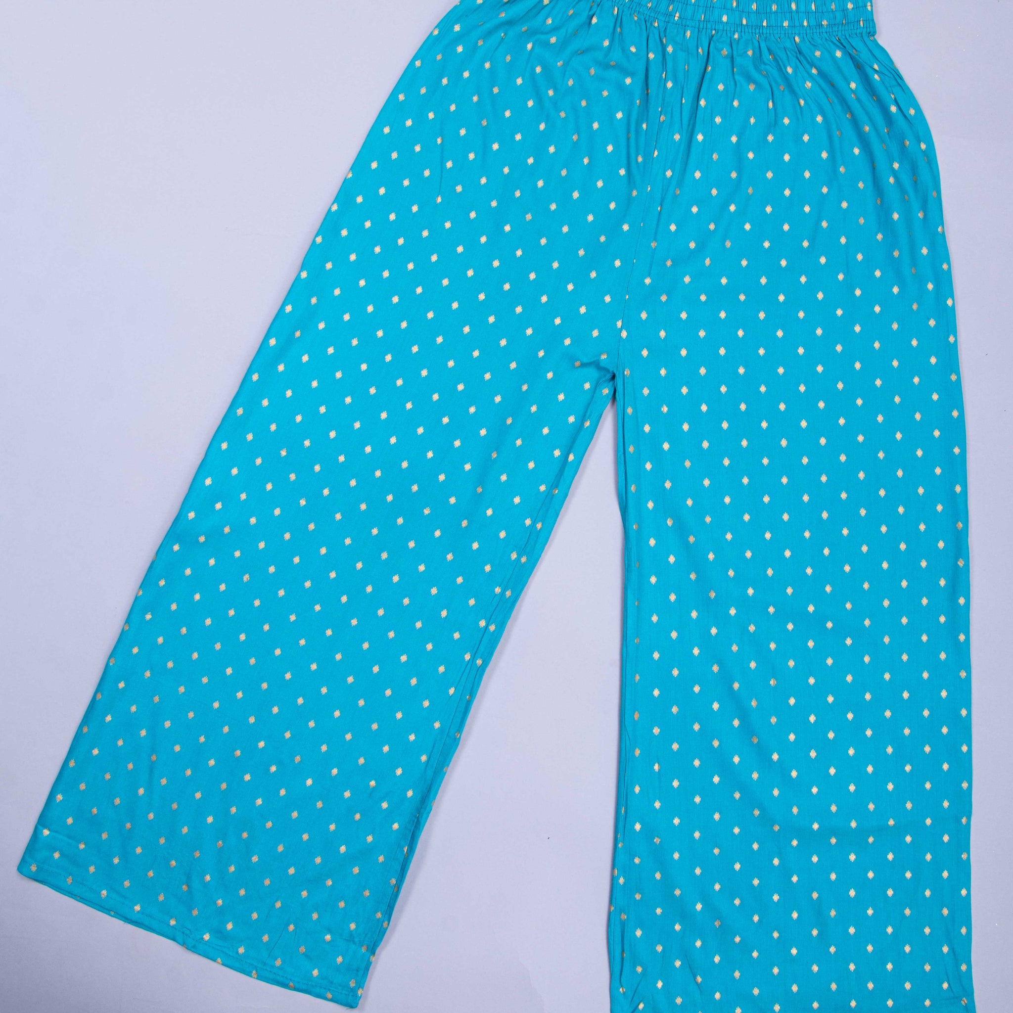 Sky Blue Colour Womens Palazzo