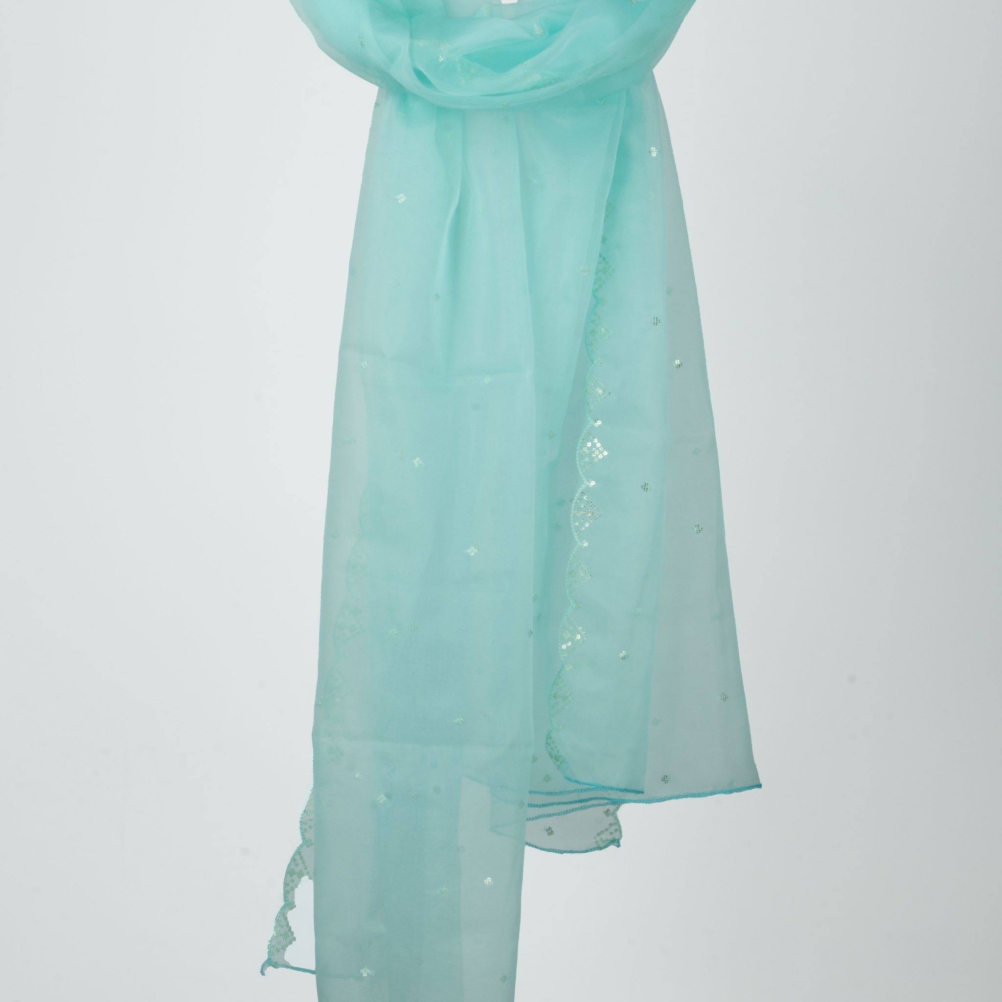 Embroidered Dupatta with Sequin Embellishments and Border Detailing - Blue