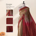 Banana Pith Saree in Brown with Red Pallu and Intricate Gold Zari Border
