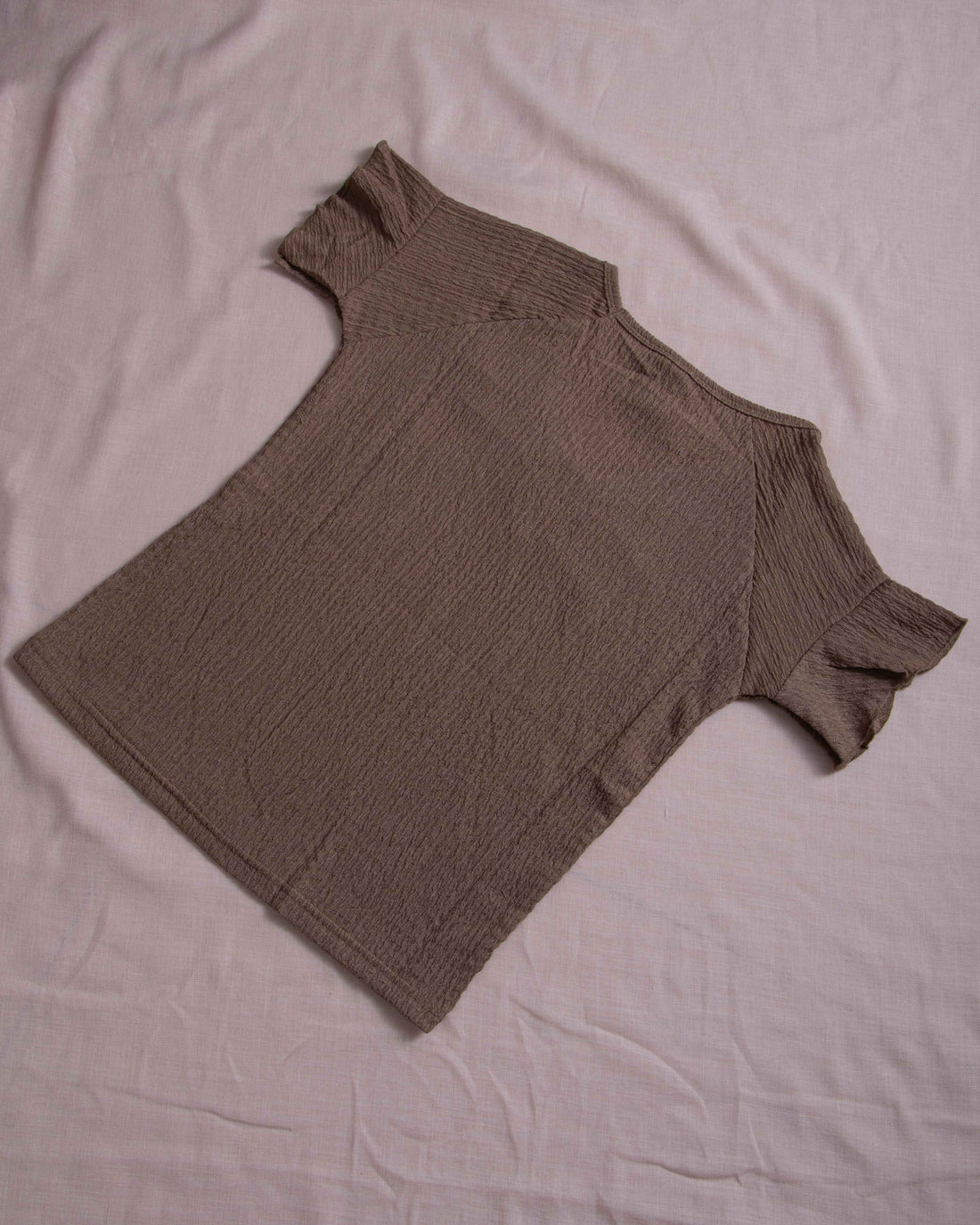 Women Brown Colour T-Shirt