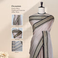 Grey Mangalagiri Cotton Saree With Traditional Woven Border And Striped Pallu-Front View 