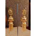 Gold Colour Plated Earrings