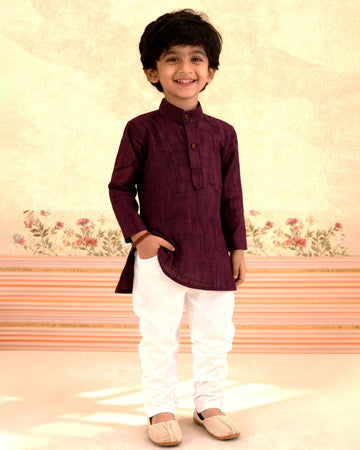 Boys Festive Kurta Set with Mandarin Collar -Purple