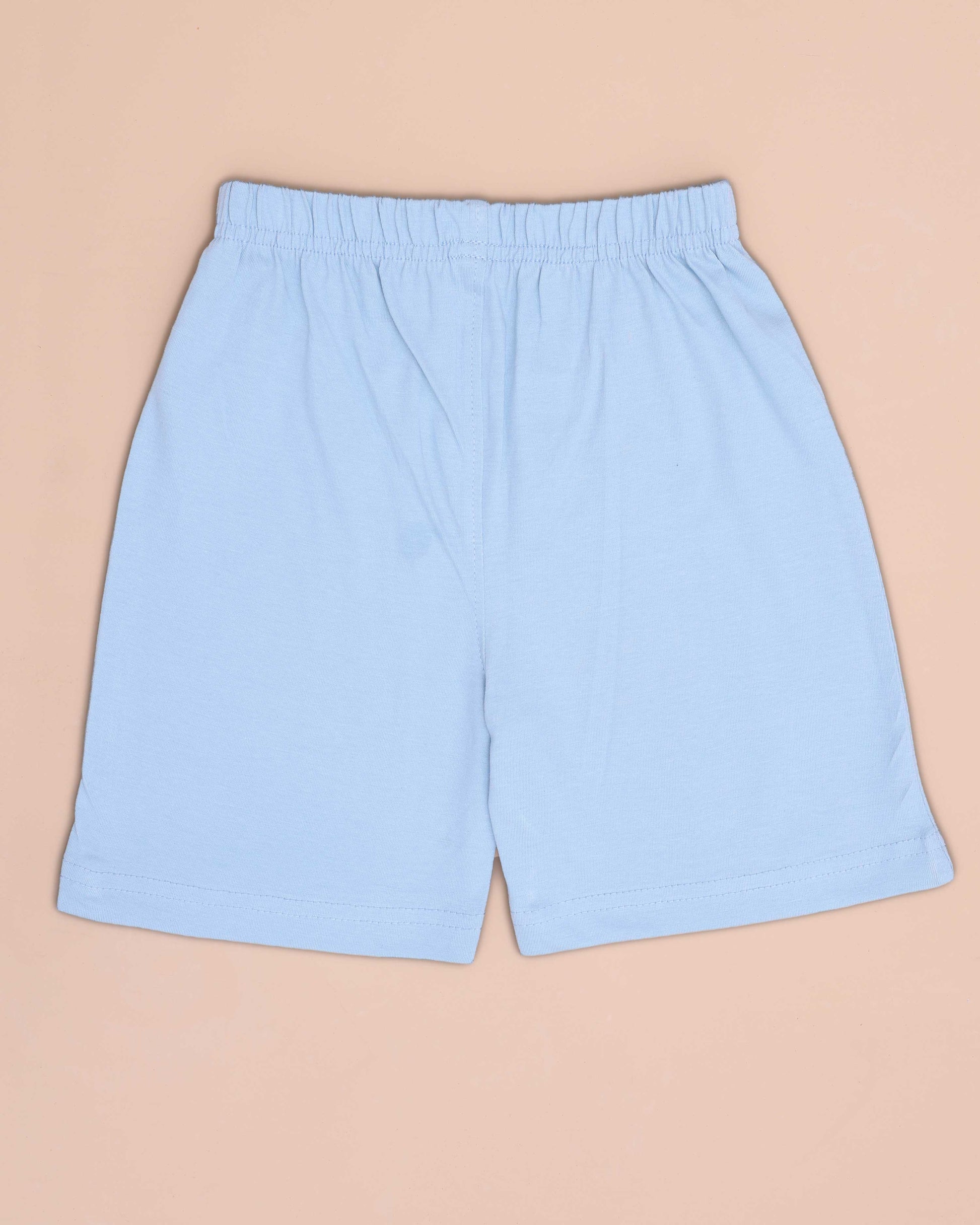Boys' Printed Casual T-shirt and Shorts Set - Grey & Blue