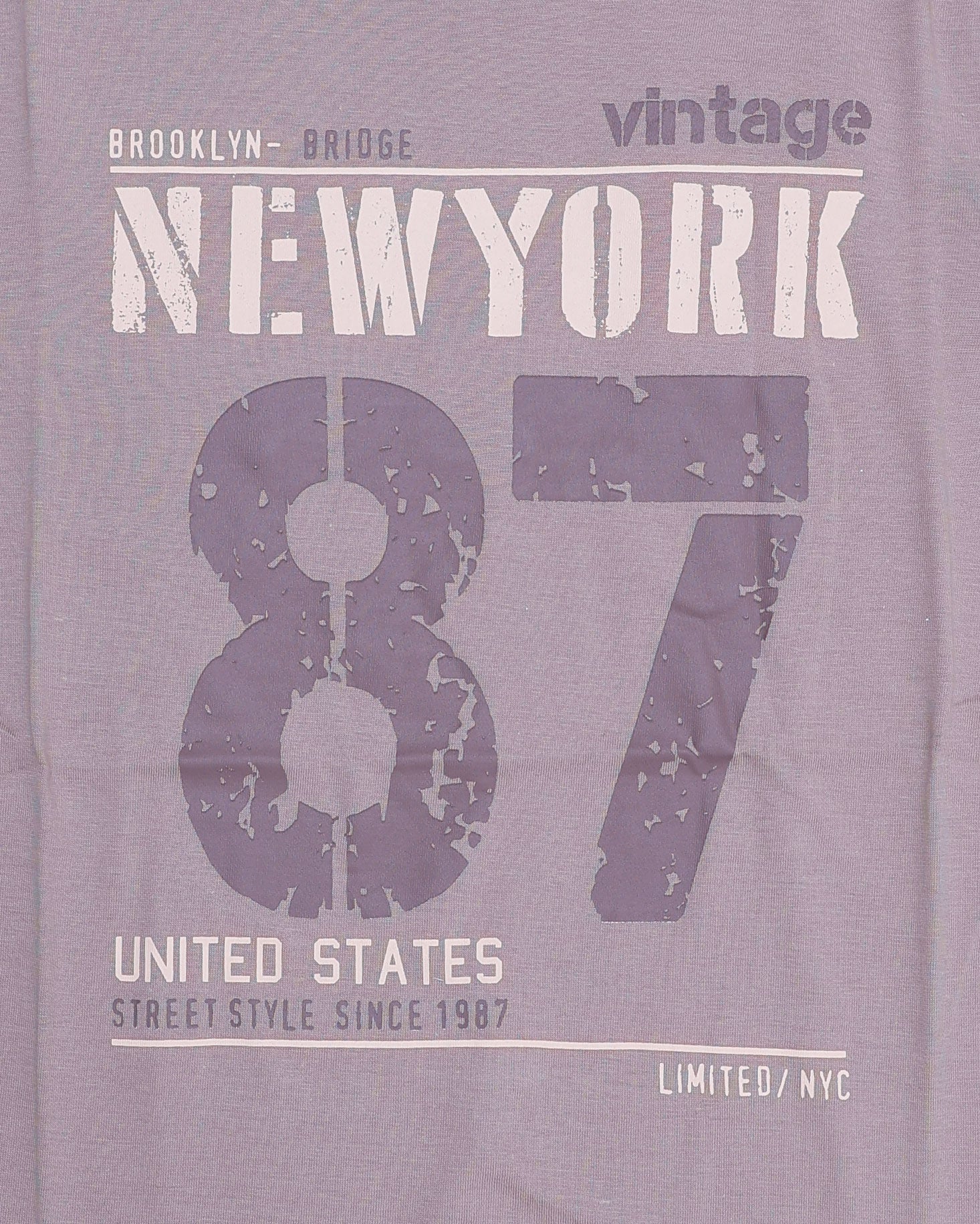 Boys Casual Stylish Printed T- Shirt - Light Purple-Close