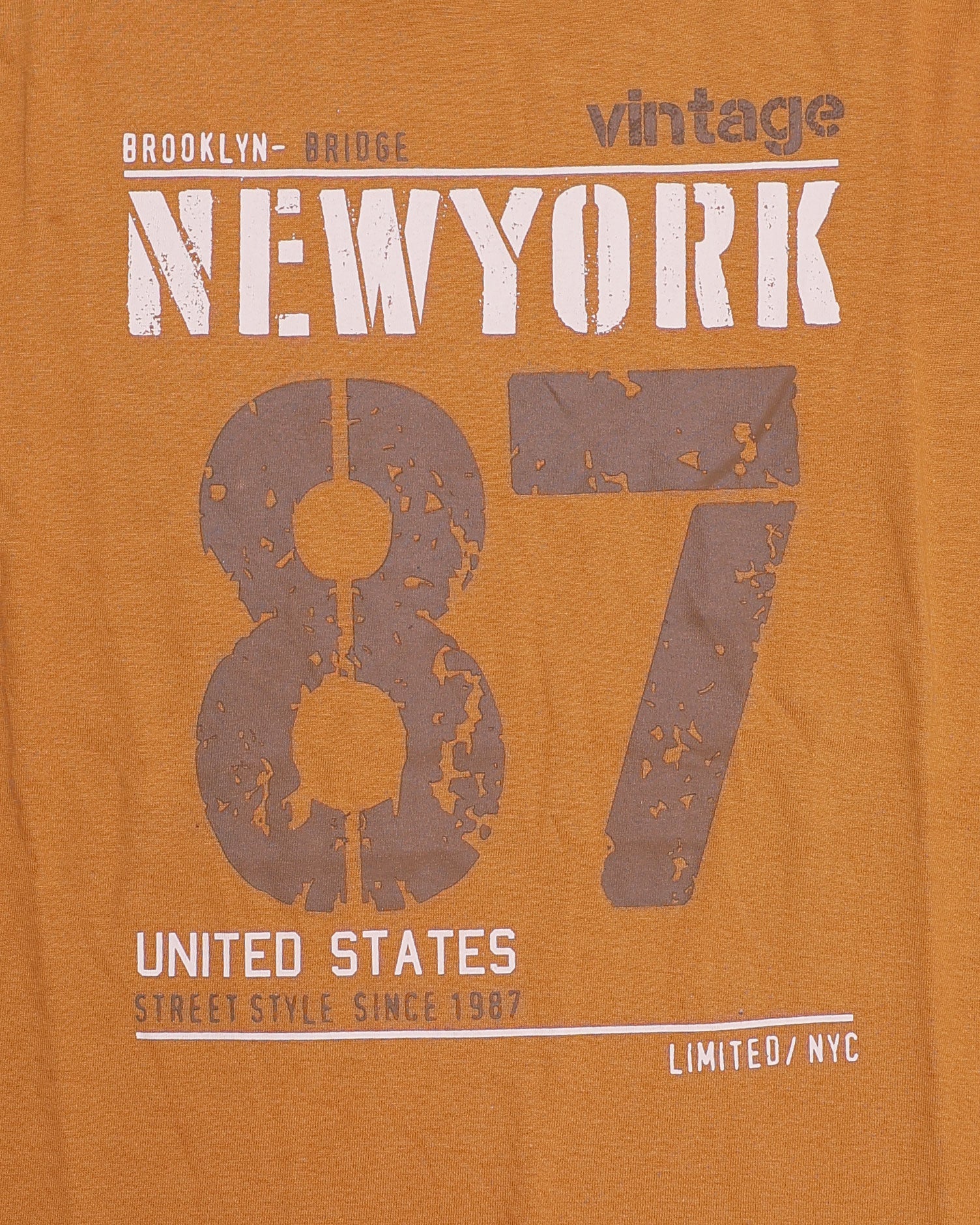 Boys Casual Stylish Printed T- Shirt - Orange-Close