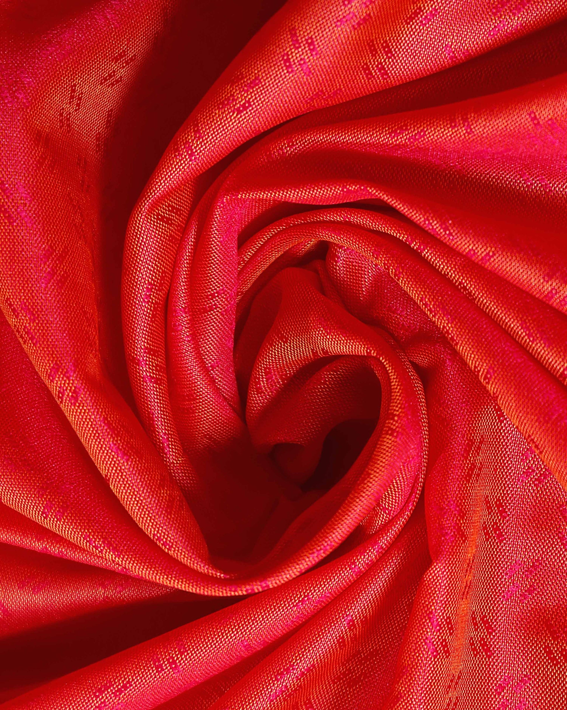 Elampillai Silk Cotton Saree with Zari Woven Border and Traditional Motifs - Dark Orange-Closeup