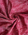 Elegant Dola Saree with Kantha Embroidery and Printed Pallu - Close