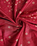 Elegant Dola Saree with Woven Polka Dot Motifs and Detailed Floral - Red-Close