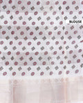 Elegant Dola Silk Saree with All Over Floral Vine Motifs and Subtle Traditional Woven Border - Off White-Blouse
