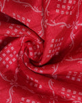 Elegant Dola Silk Saree with Intricate Geometric and Floral Pattern Enhanced by a Contrast Border - Red-Close Up