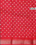 Elegant Dola Silk Saree with Woven Floral Butta Motifs Dotted Weave and Traditional Zari Border - Red-Blouse