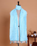Elegant Embroidered Women’s Dupatta with Delicate Vertical Motif Pattern - Light Blue