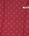 Elegant Semi Chanderi Saree with Traditional Kalamkari Inspired Border Diagonal Striped Body & Mythical Motif Pallu - Red-Blouse