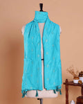 Elegant Embroidered Women’s Dupatta with Delicate Vertical Motif Pattern, Teal
