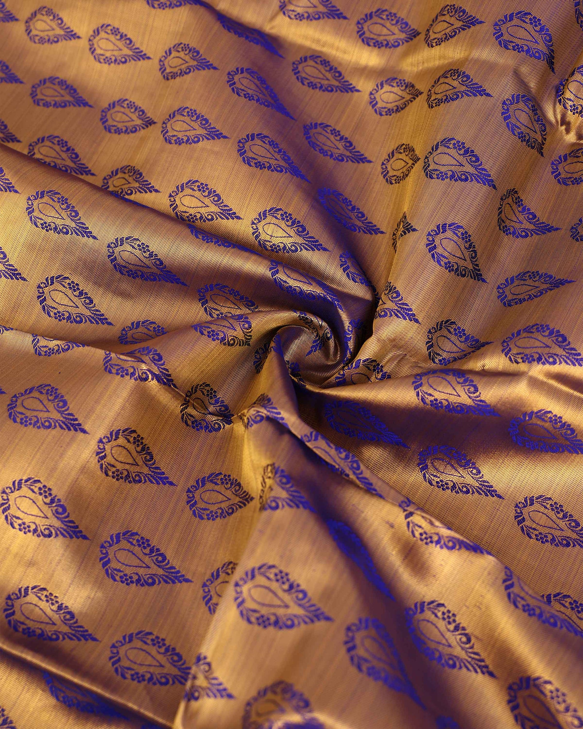 Exquisite Kanchipuram Pure Silk Saree with Intricate Zari Motifs and Contrast Border - Close Up