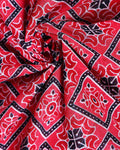 Handcrafted_Mul_Mul_Cotton_Saree_with_Traditional_Ajrakh-Inspired_Motifs_-_Red-CLOSE