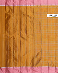 Handloom Soft Silk Saree with Woven Checks and Contrast Border - Brown