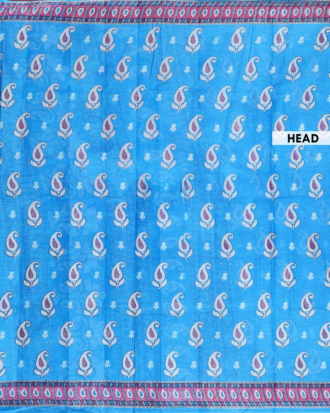 Graceful Voile Saree with Classic Paisley Design and Ornamental Ethnic Border - Blue