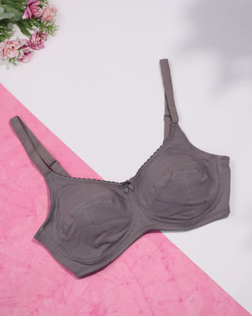 Grey Colour Everyday Bra