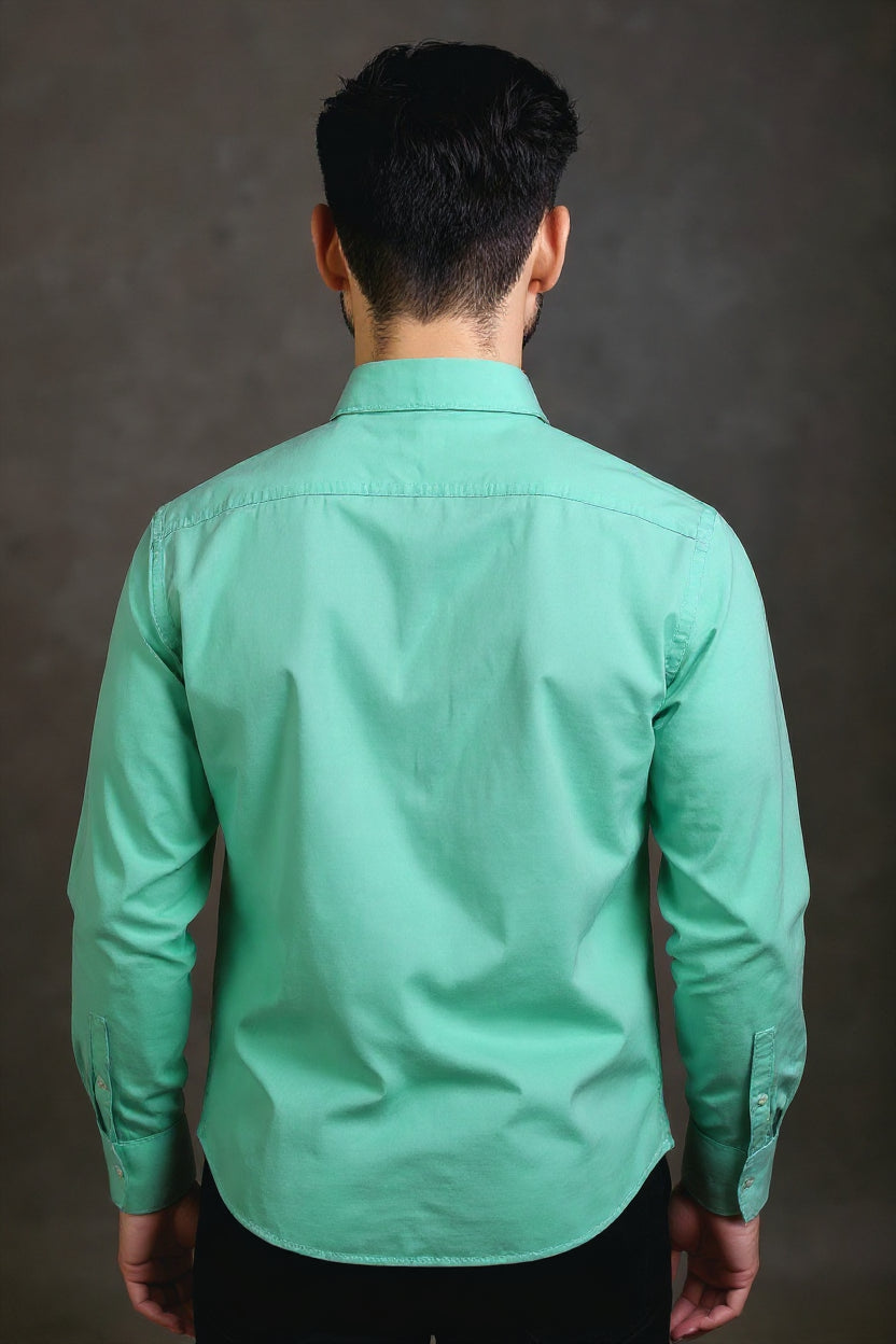 Men's Solid Slim Fit Formal Shirt with Spread Collar and Full Sleeves, Light Green Front View
