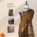 Kanchi Cotton Saree With Gold Zari Paisley Border In Brown Draped On Mannequin With Pallu Display Front View
