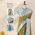 Elampillai silk cotton saree with silver zari border zari buttas and vertical stripes olive front draped view on mannequin