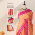 Orange Venkatagiri cotton saree with pink temple zari border front draped mannequin view.