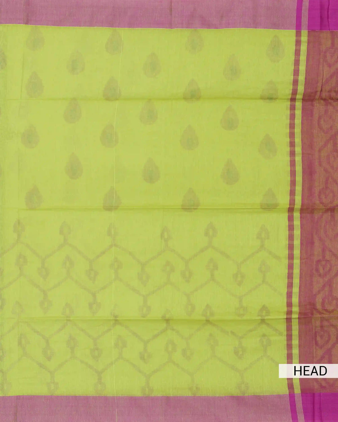 Khadi Cotton Saree for Women with Leaf Vine Motif and Contrast Woven Border - Green