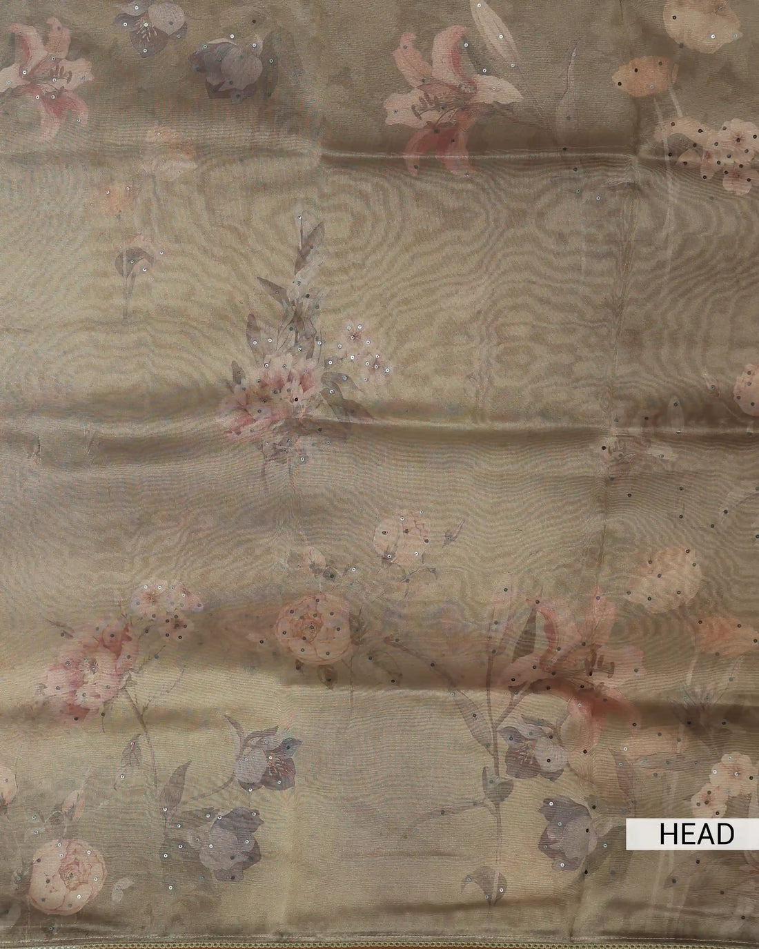 Organza Saree for Women with Floral Print Delicate Sequin Embellishments & Shimmering Border - Light Brown