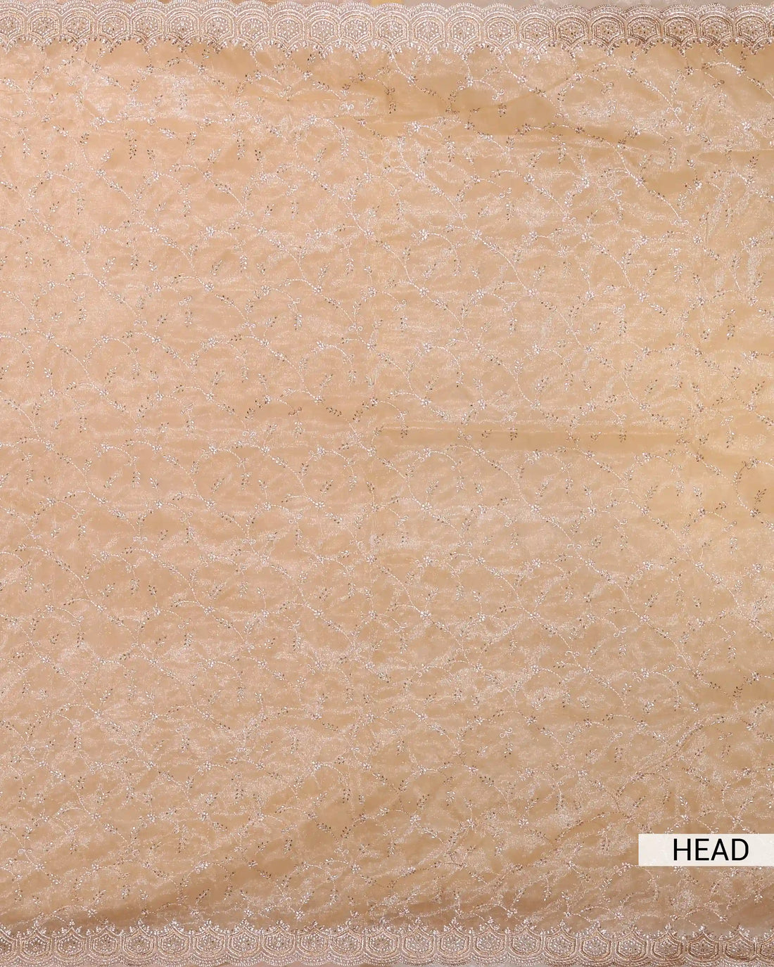 Designer Embroidered Saree with Intricate Silver Floral Threadwork & Scalloped Lace Border - Beige
