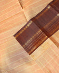 Traditional Chettinad Cotton Handloom Saree with Zari Border and Traditional Motifs -  Light Beige-CLOSE